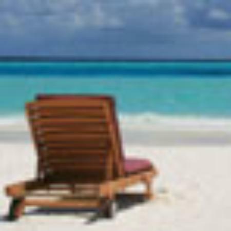 Pure Veg. Restaurant